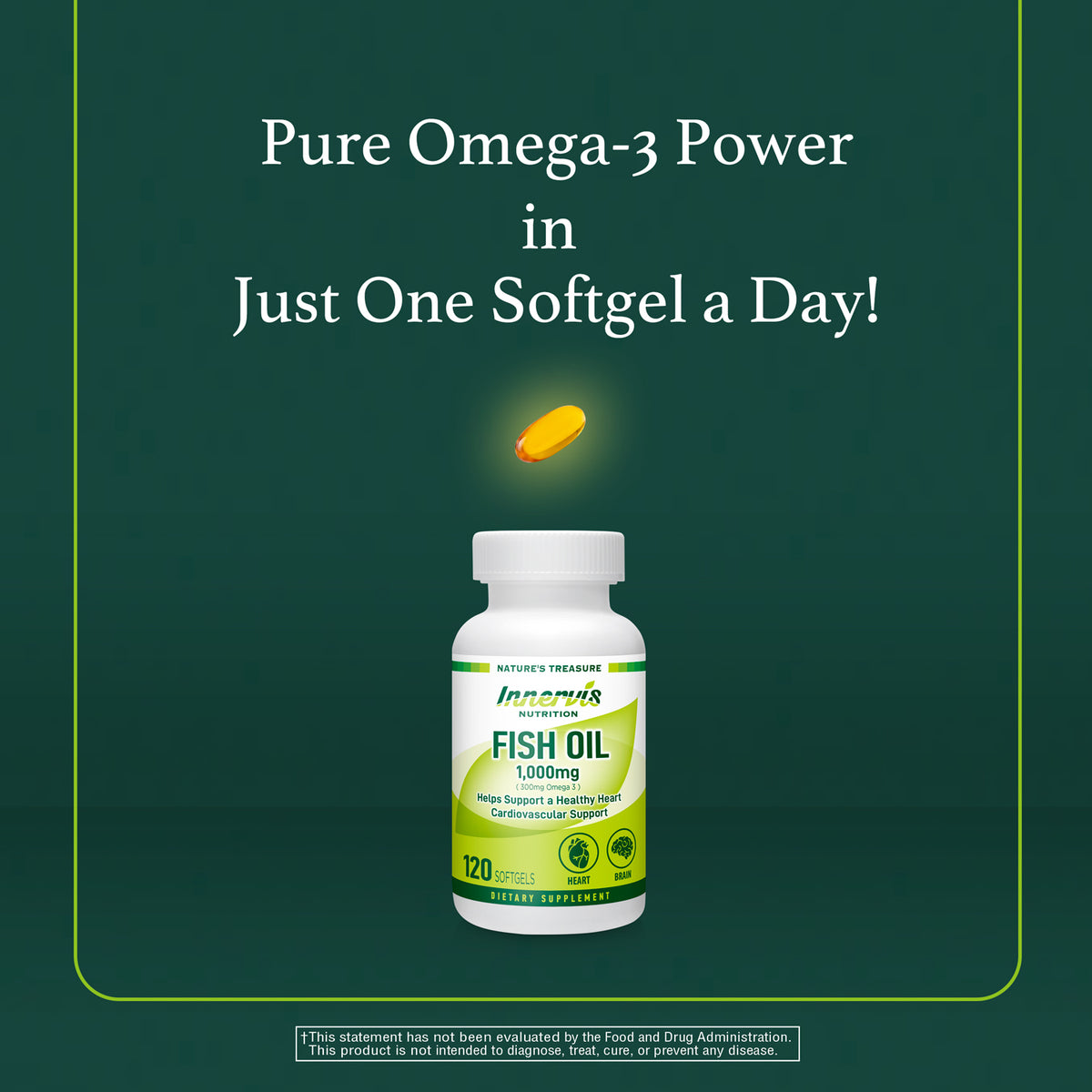 Fish Oil 1,000 mg
