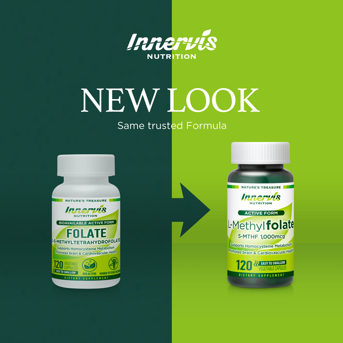 L-Methyl Folate (Active Form)
