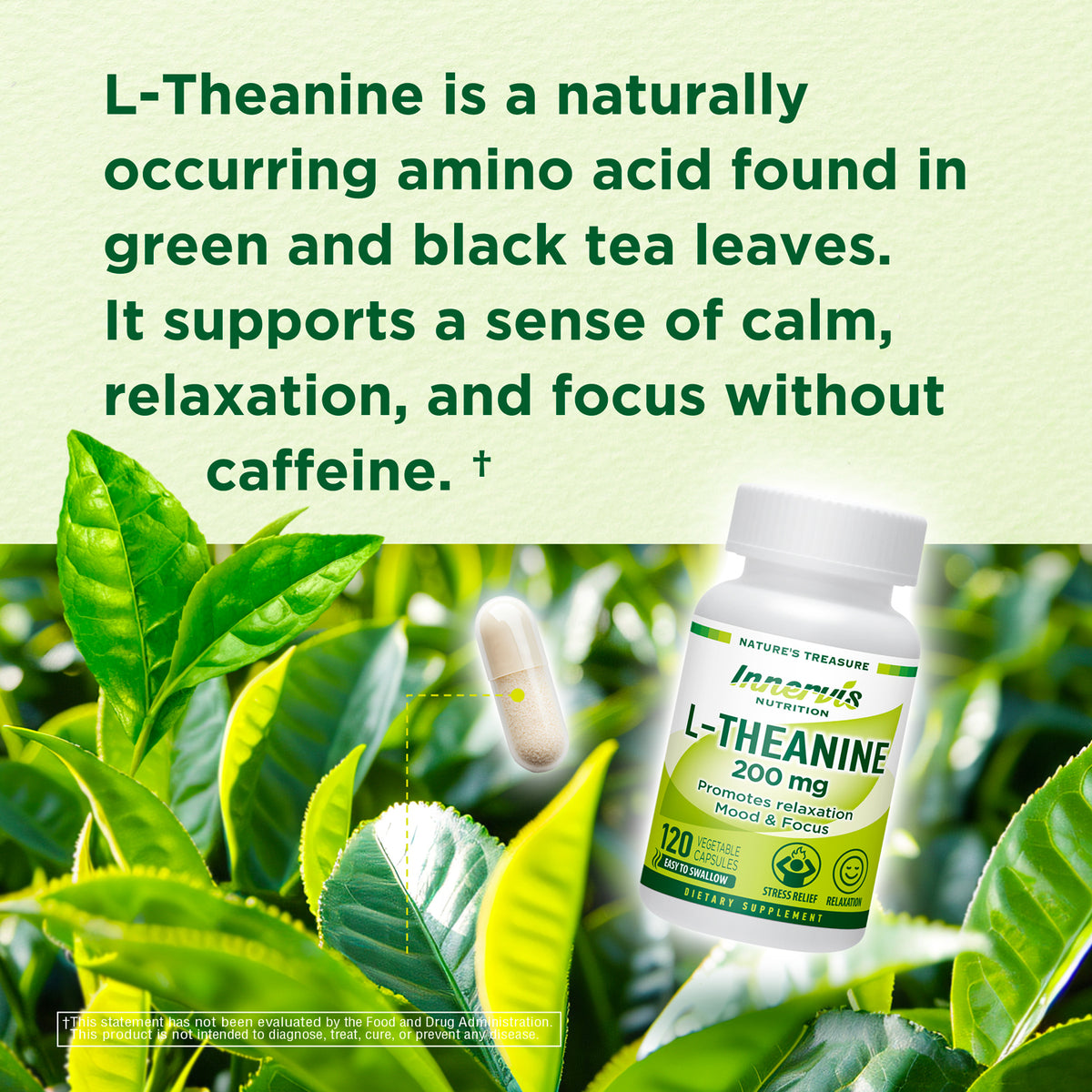 L-Theanine 200mg