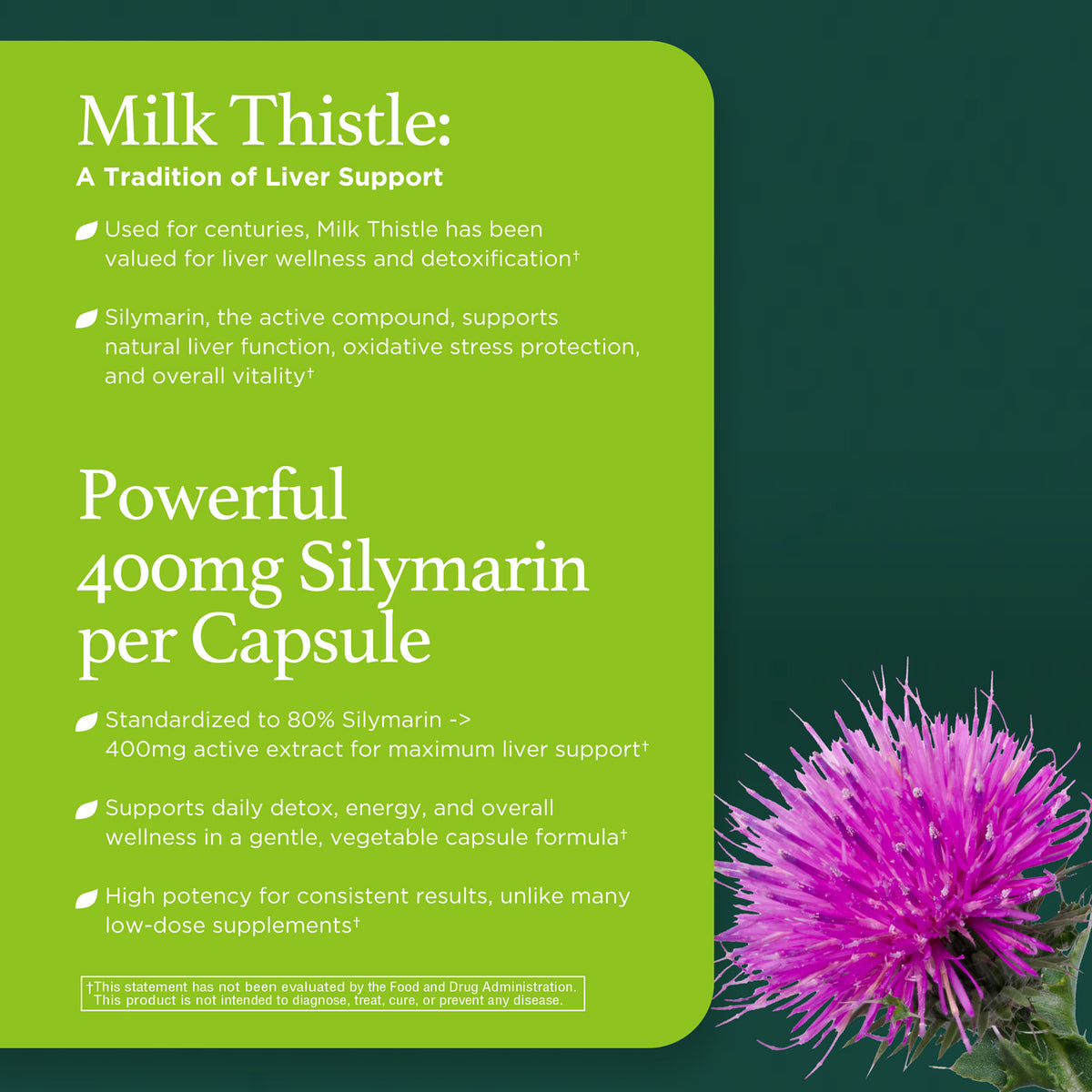 Milk Thistle Extract 500mg (Silymarin 400mg)