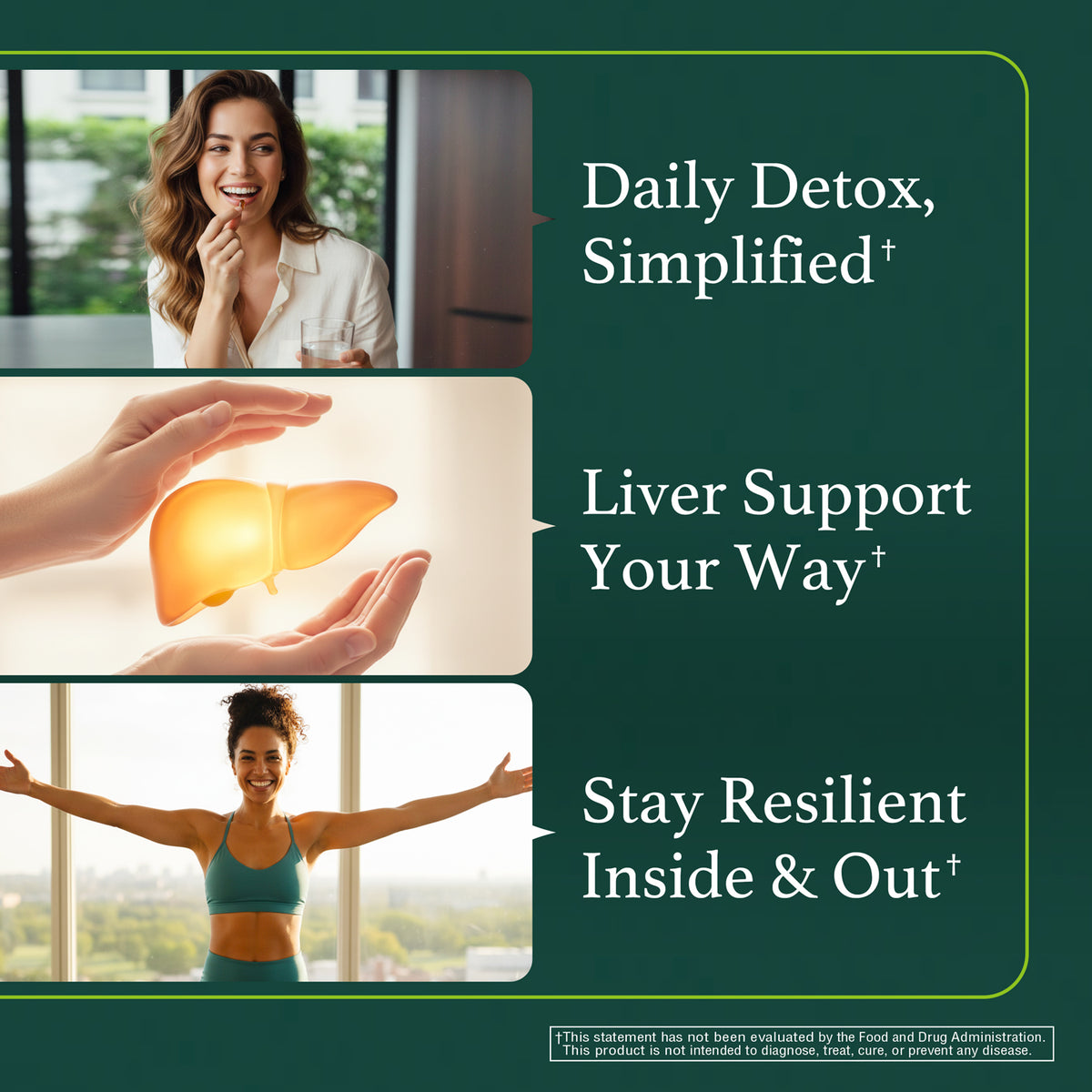 Milk Thistle Extract 500mg (Silymarin 400mg)
